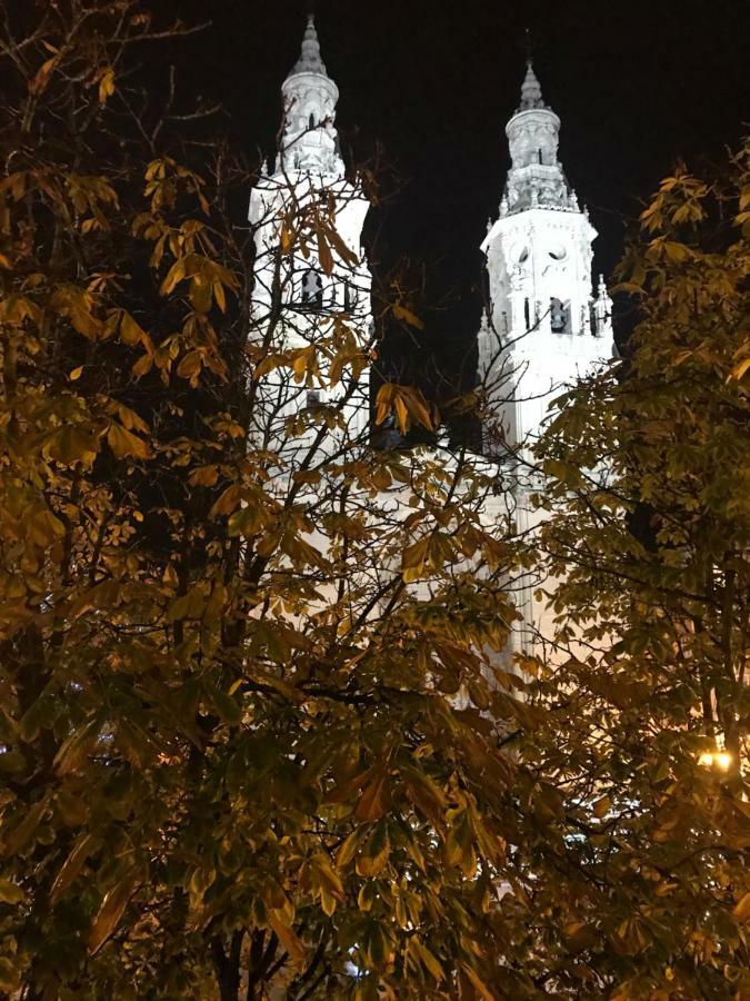 Apto Con Vistas A La Catedral Y Aire Acondicionado ログローニョ エクステリア 写真